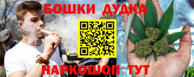 стафф Нальчик