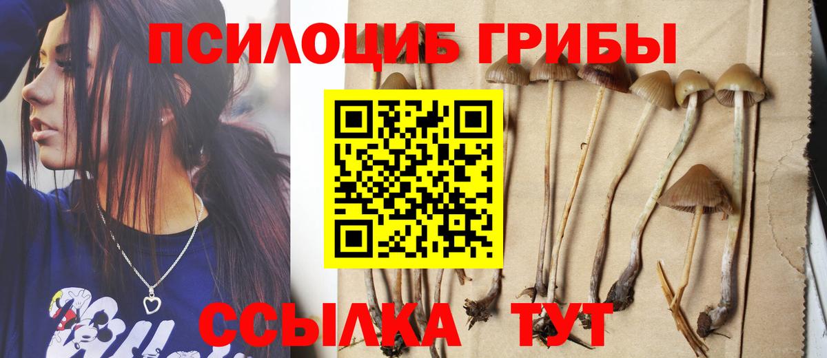 Ступино  Галлюциногенные грибы мухоморы  Вход с VPN  магазин  наркотиков  Псилоцибиновые грибы GOLDEN TEACHER 